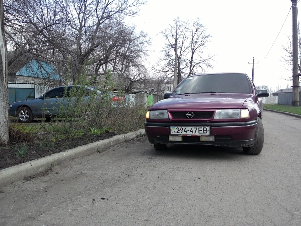 Просто фото 1