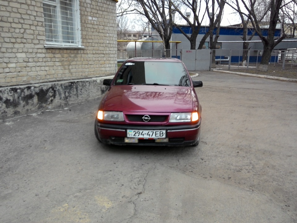 Просто фото 2
