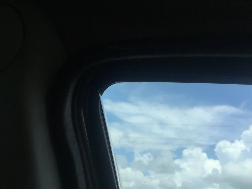 Подивився водійські двері та її петлю
