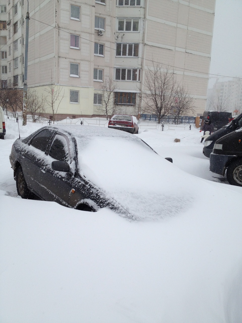 Ось така весна у Києві:) 3