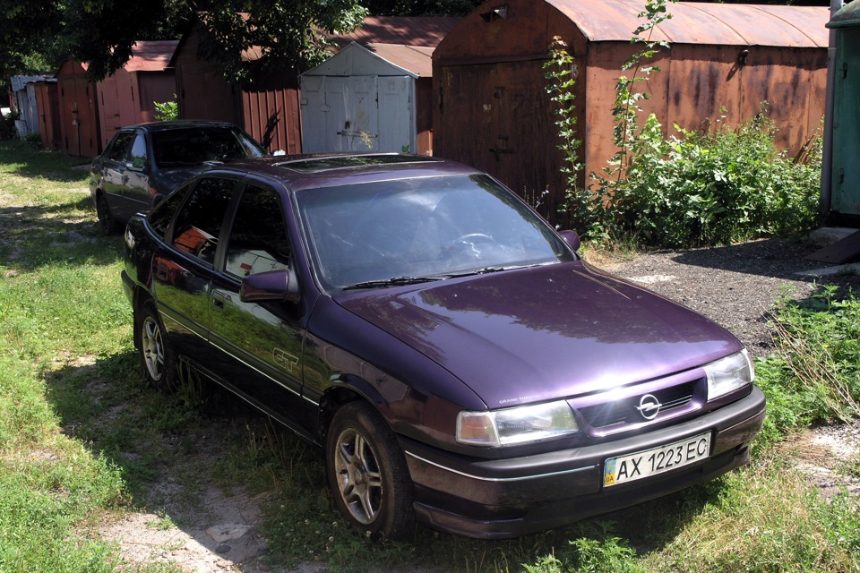 біля гаража 1