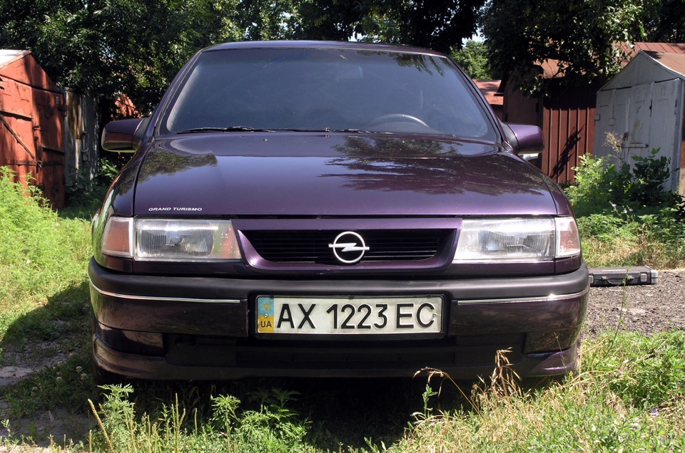 біля гаража 4