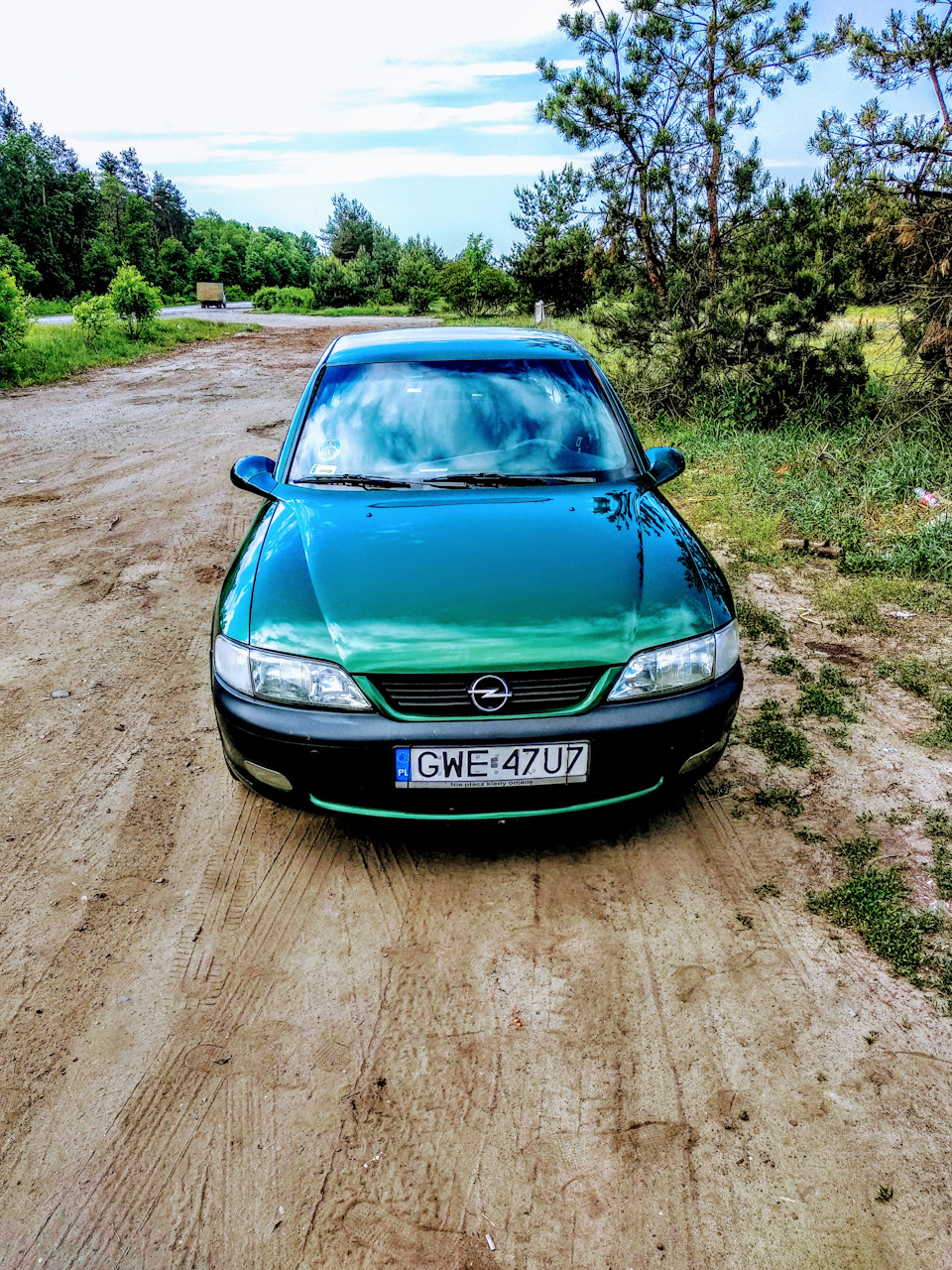 Як я купивши жабку 4