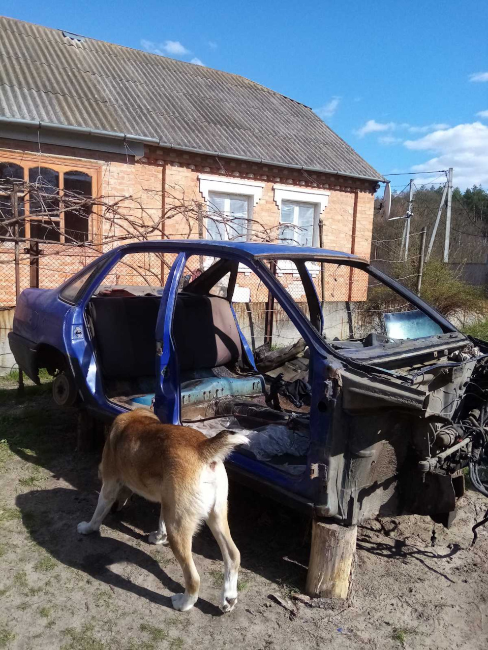 Останні зітхання 😫 1