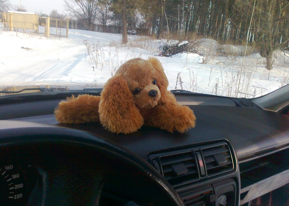 Запис, 20 лютого 2012 2