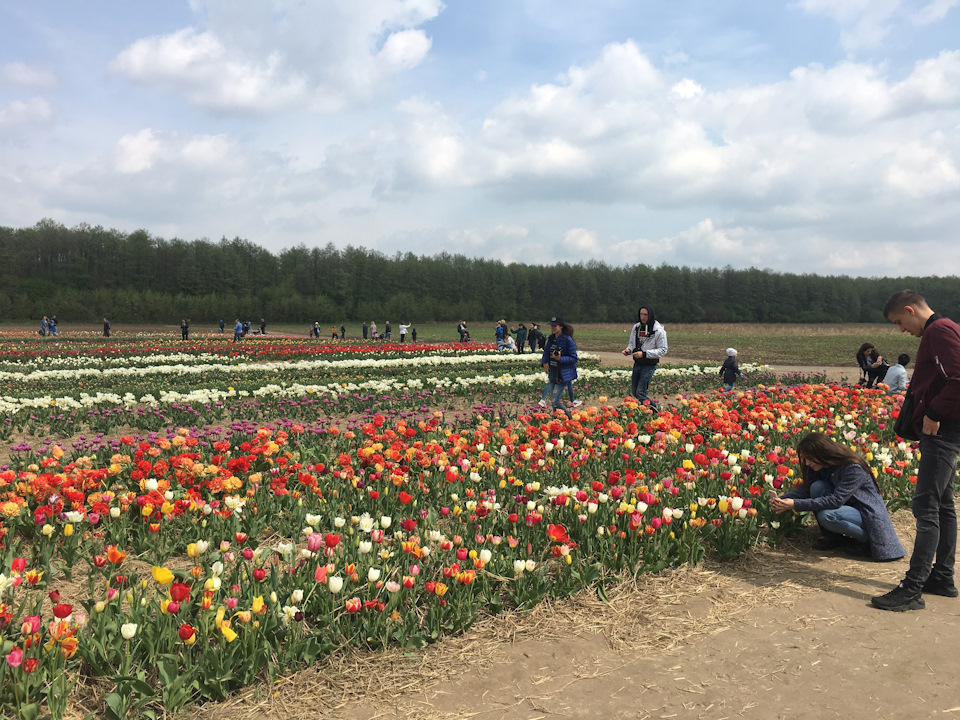 Волинська Голандія 4