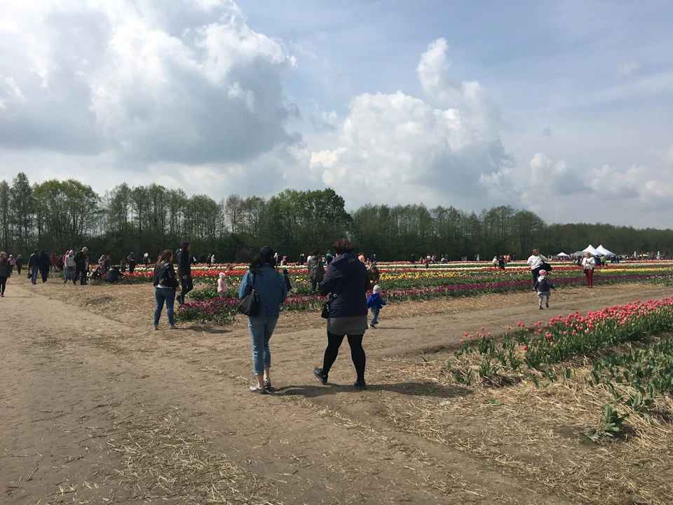 Волинська Голандія