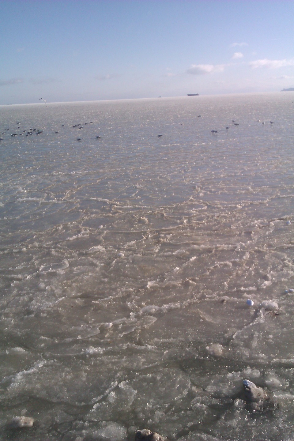 Море в Одесі 1
