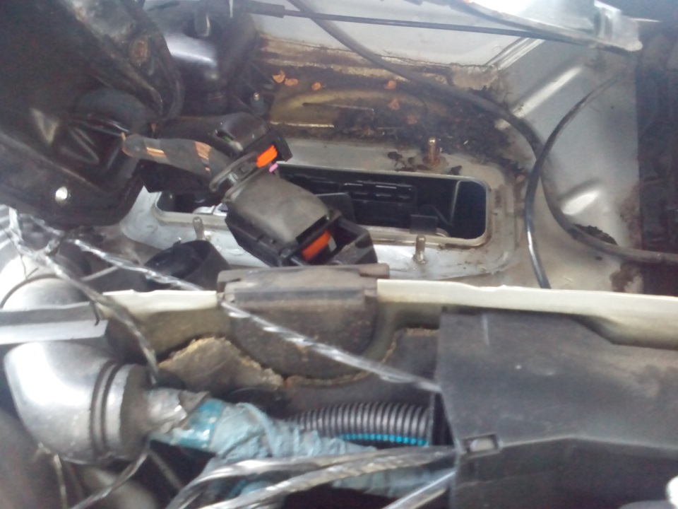 Як зняти ЕБУ двигуна Y 20 DTH Opel Vectra В. 4