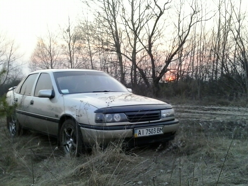 Березовий сік 2
