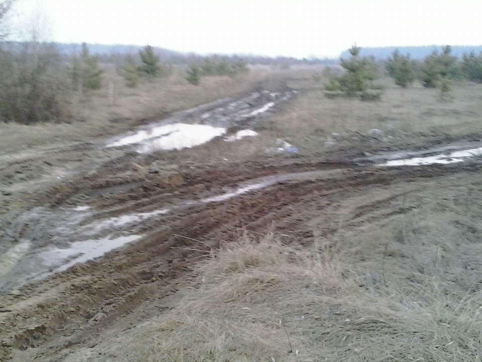 Березовий сік 4