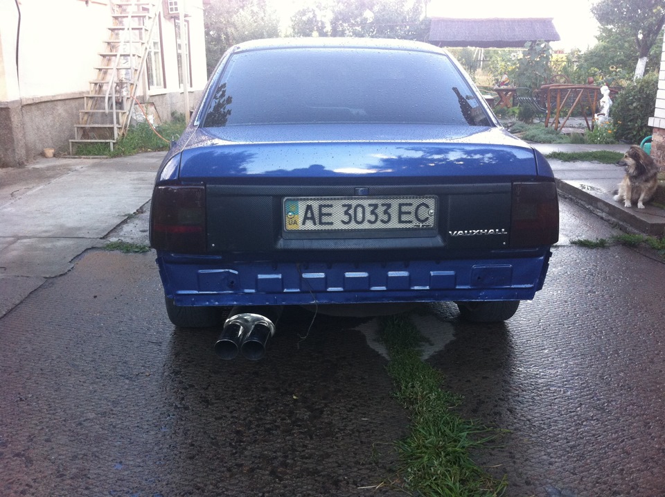 Відродження з попелу 5