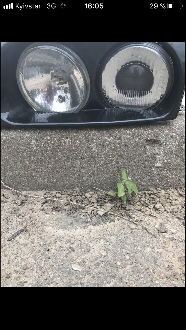 Irmscher headlights 2