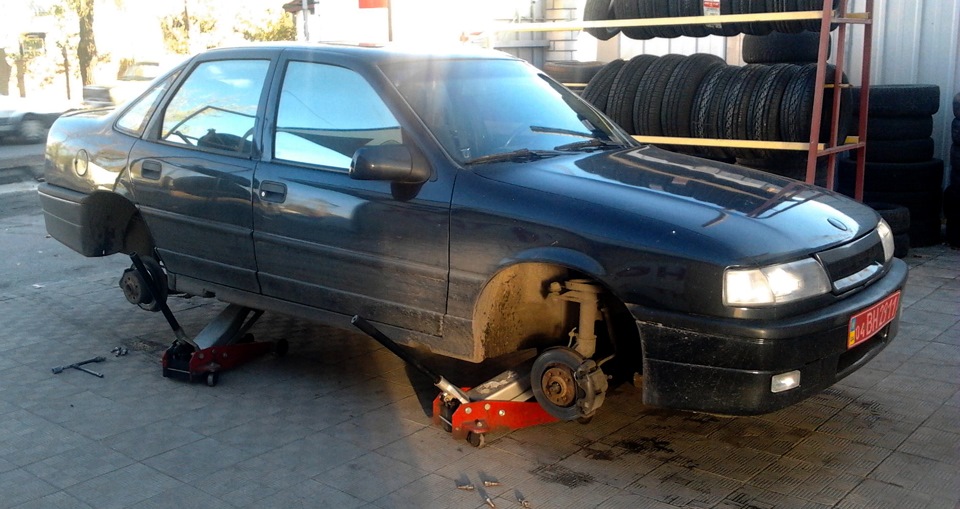 Перевзувся на зиму і помив моїх малюків 2