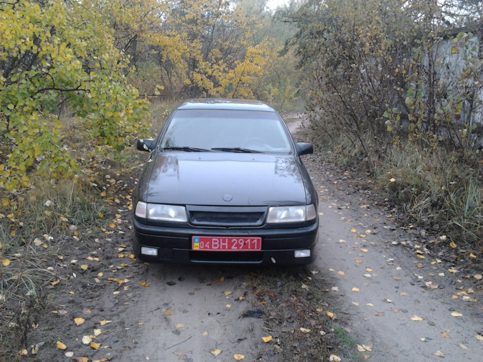 Просто фотки 4