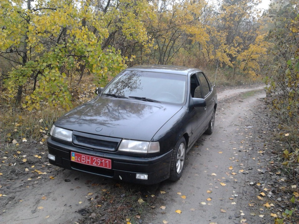Просто фотки 1