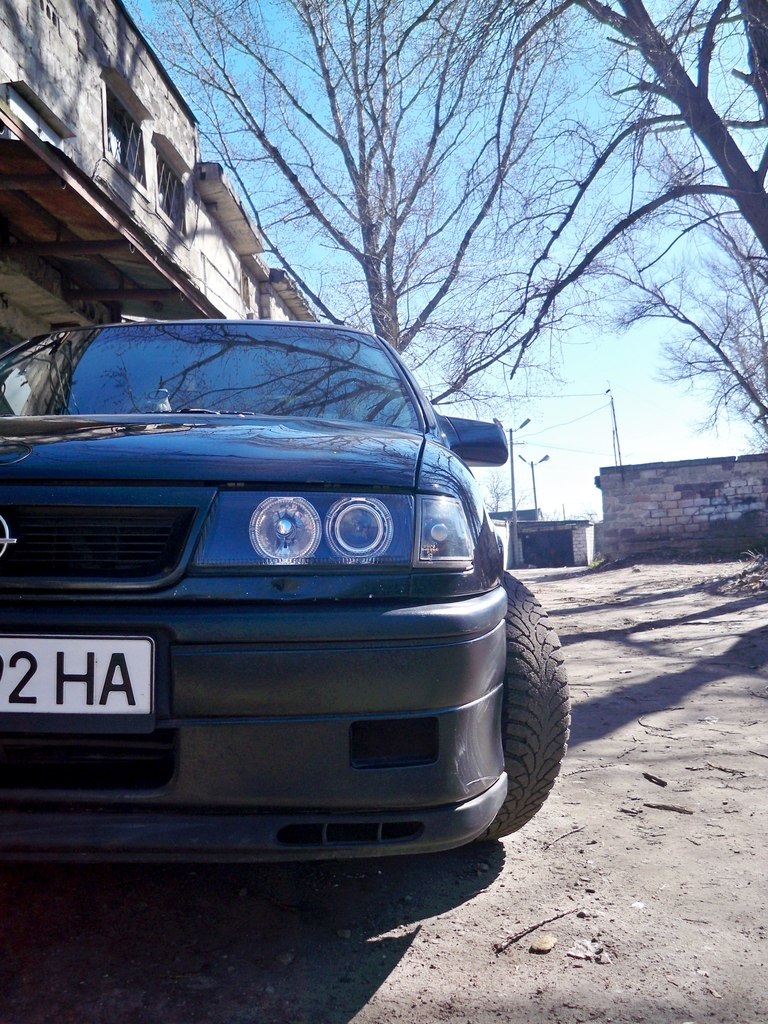 Просто фото 1