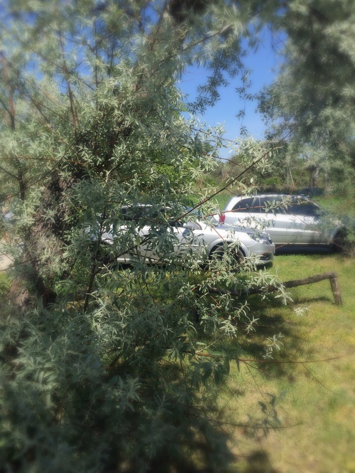 Раптовий виїзд на природу 1