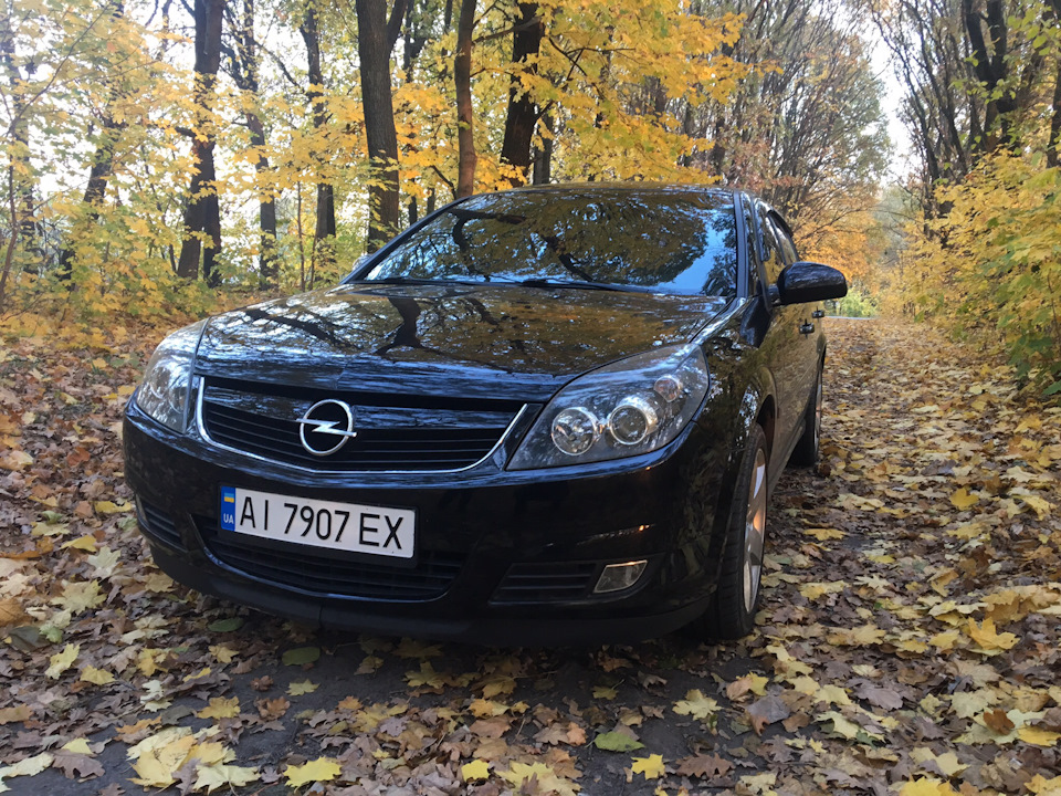 Irmscher на місці. 4