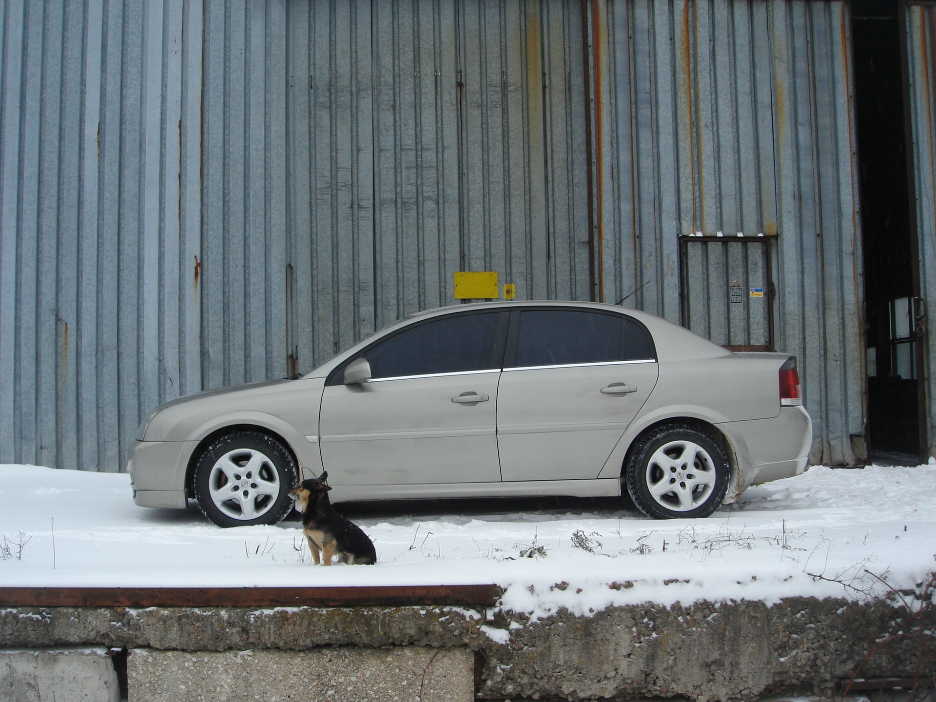 Запис, 2 грудня 2010 3