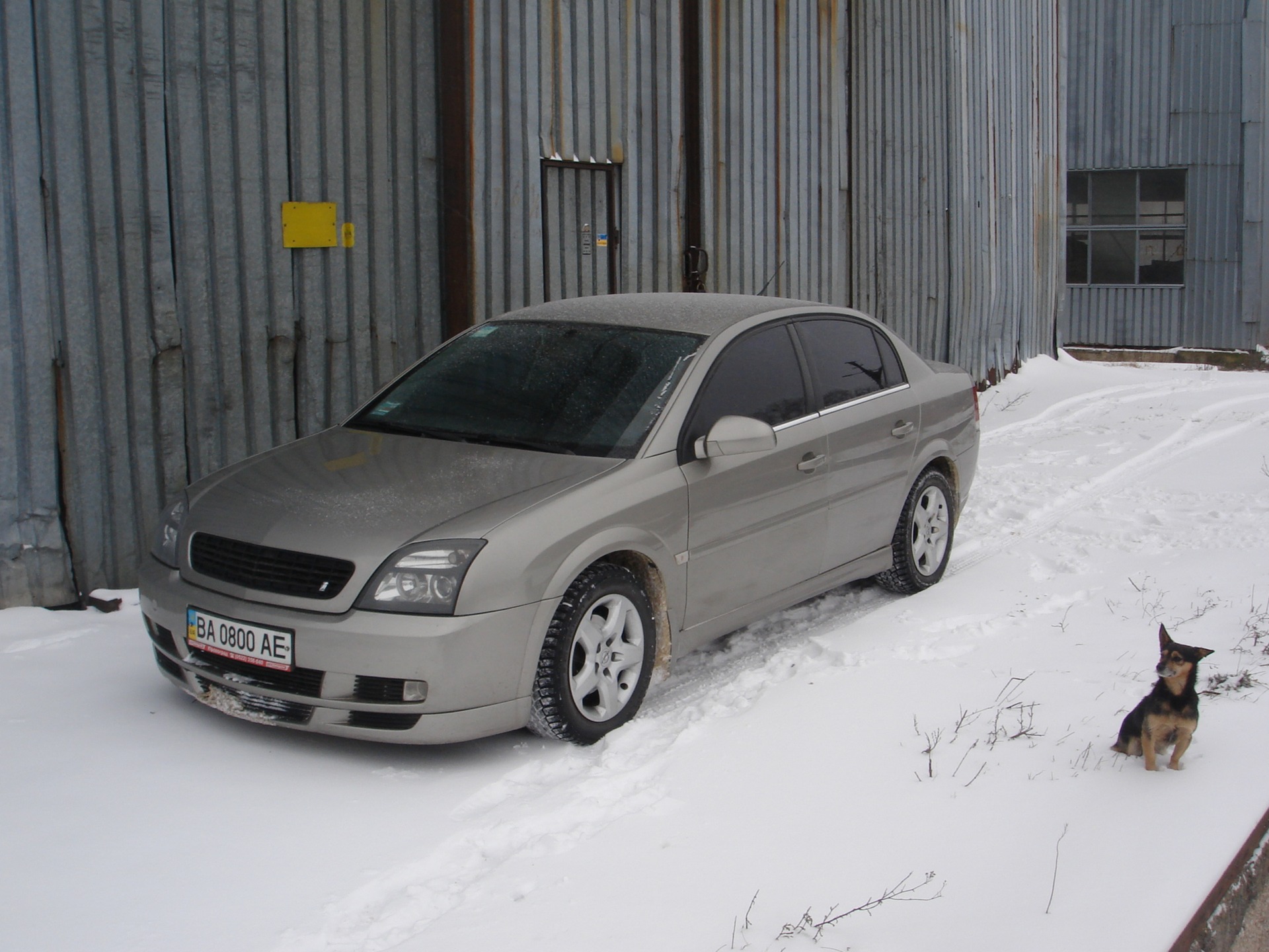 Запис, 2 грудня 2010 4