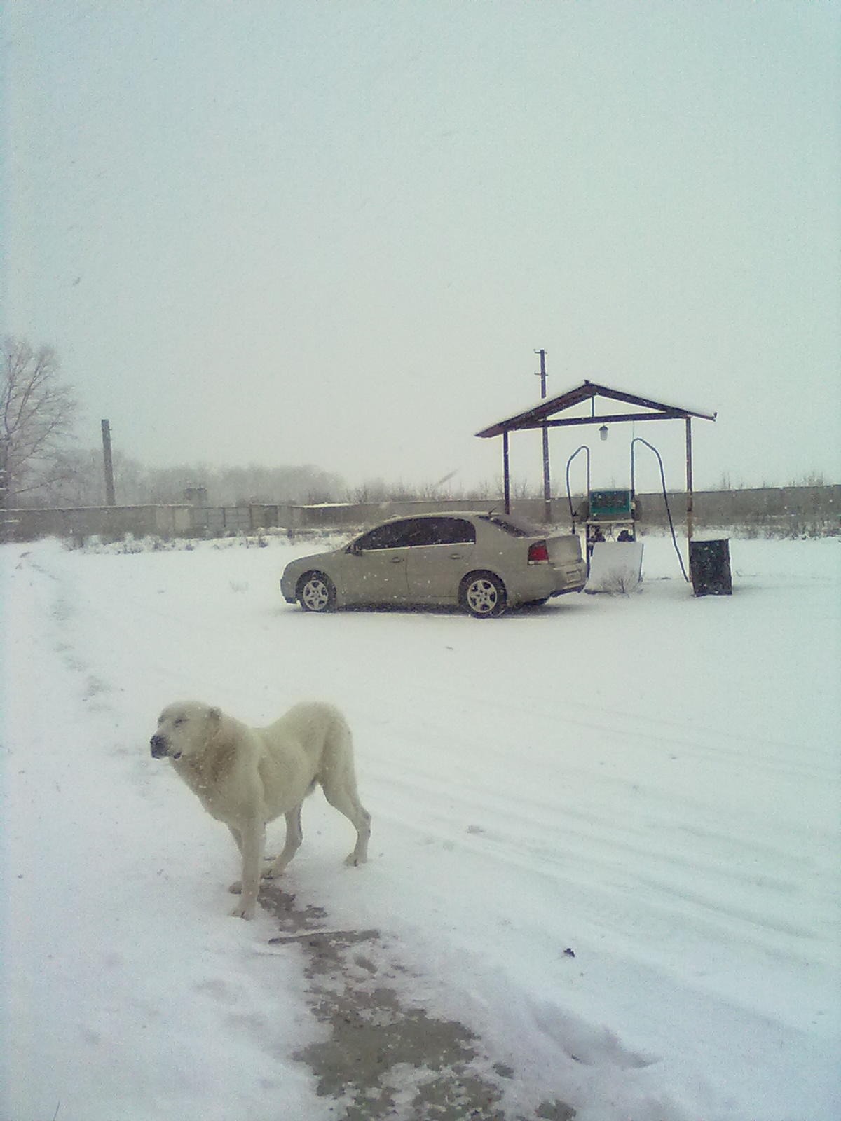 Запис, 26 грудня 2010 року 3