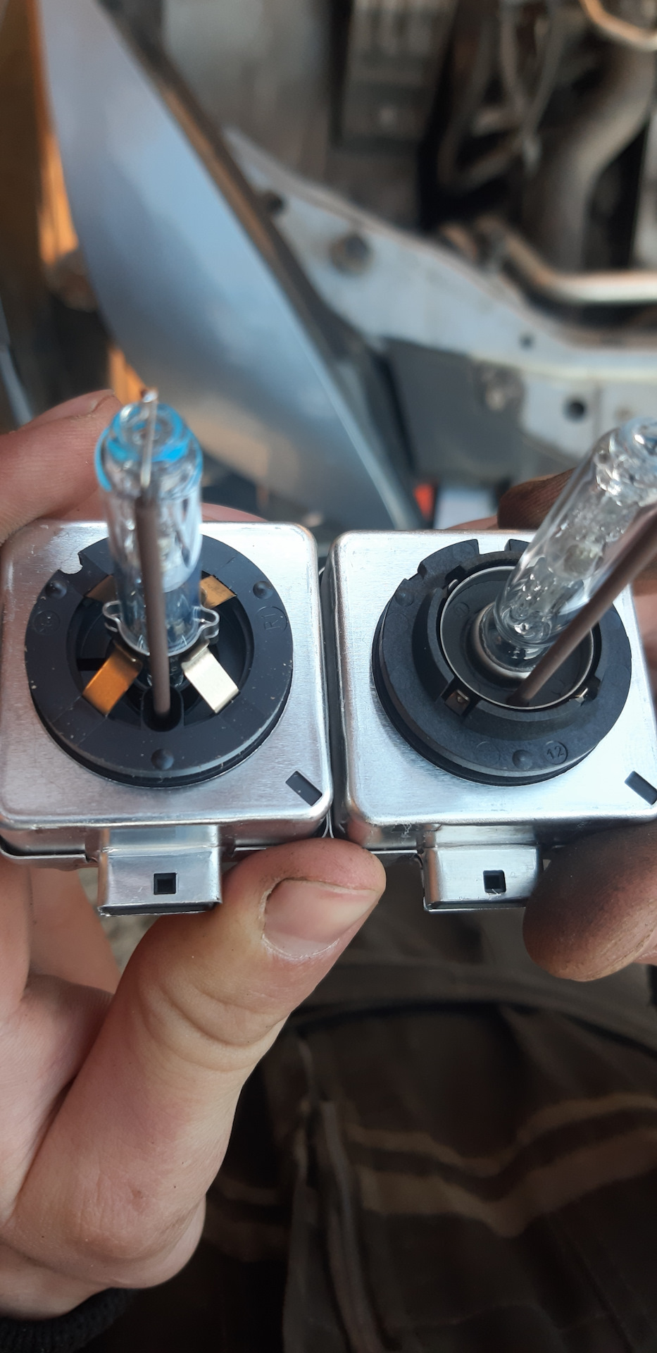 Відкрили очі 😁😂 Osram classic Xenarc D1S 1
