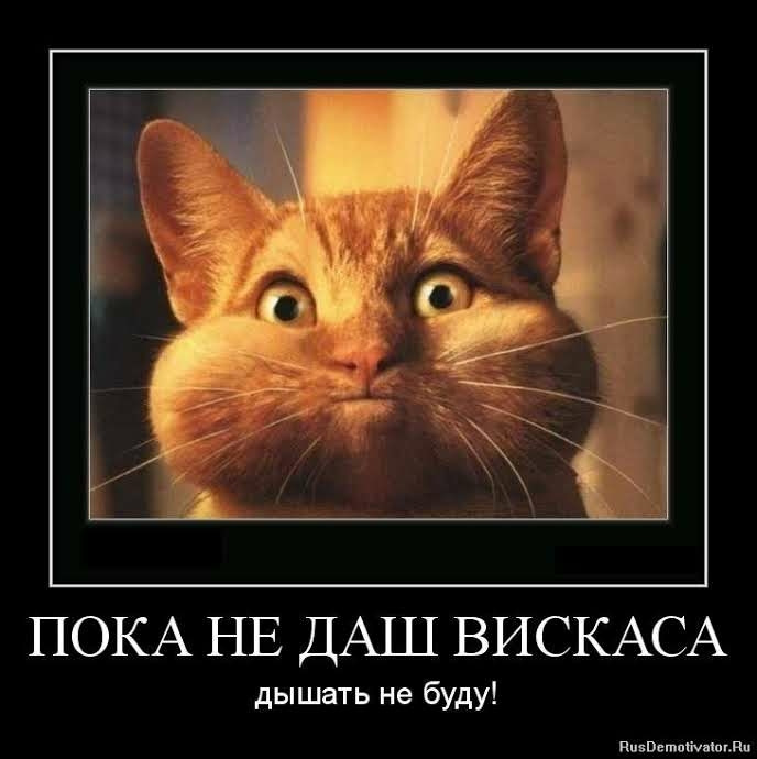 Сітка в радіаторні грати ( дихання на повні легені) 1