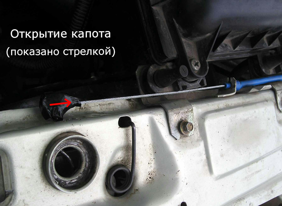 Трос капота (підтягнув) 1
