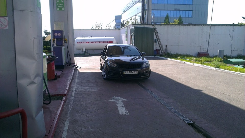 Травневі в Карпатах. 2