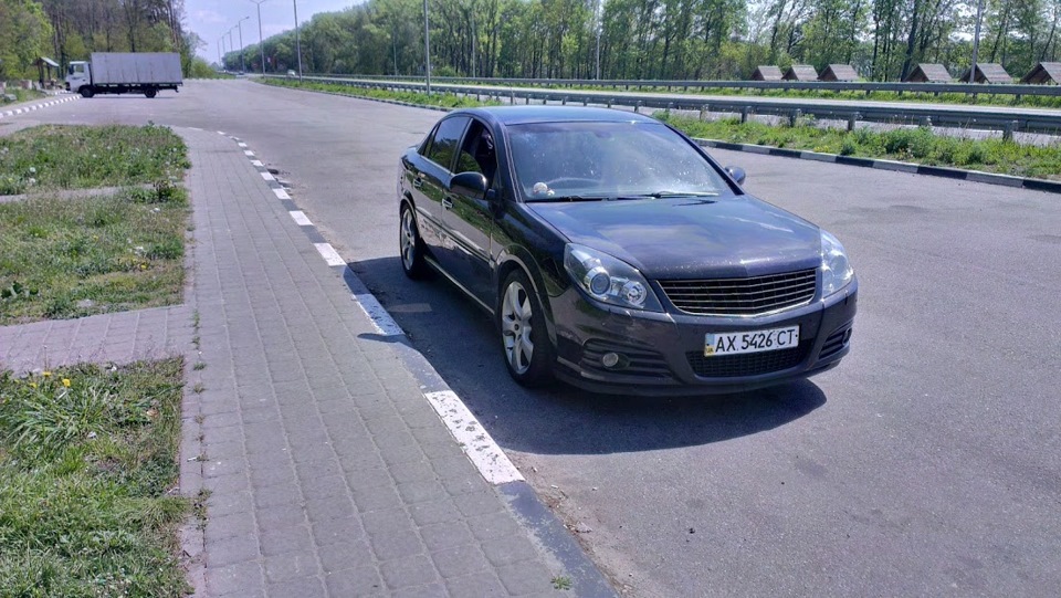Травневі в Карпатах. 3