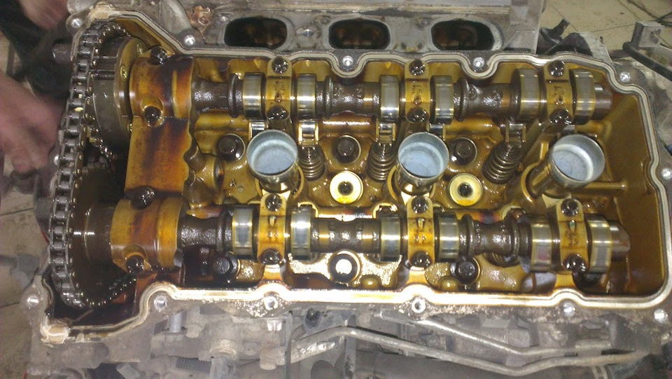z28net - 200тис. на GM 5W30 1