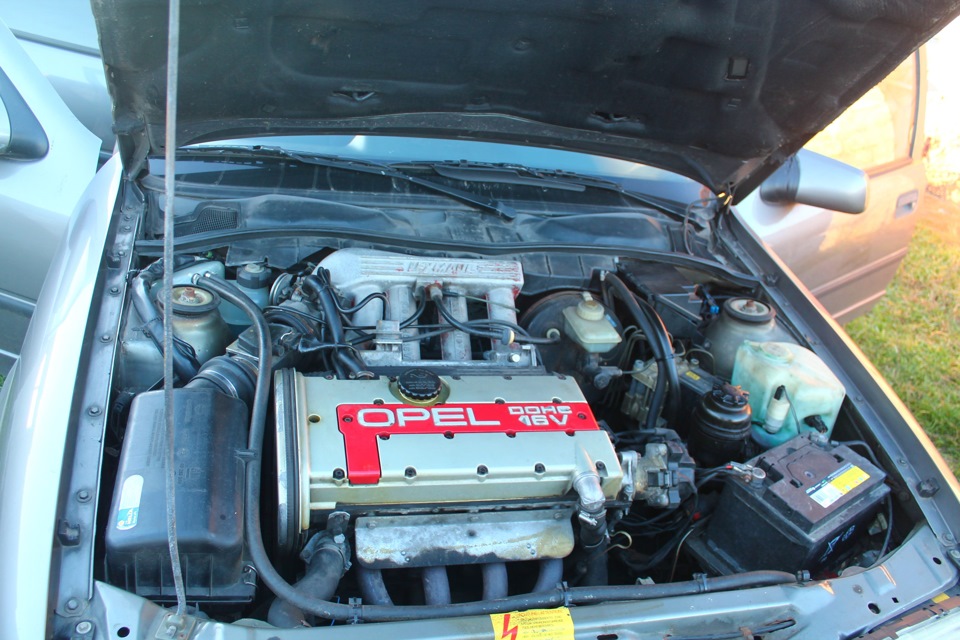 с20хе lexmaul 1