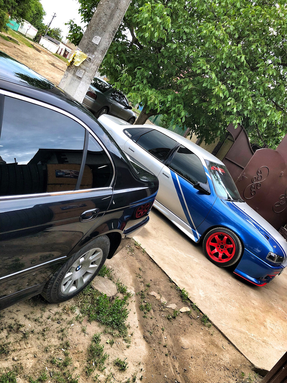 Мої німці 🇩🇪 😎 4