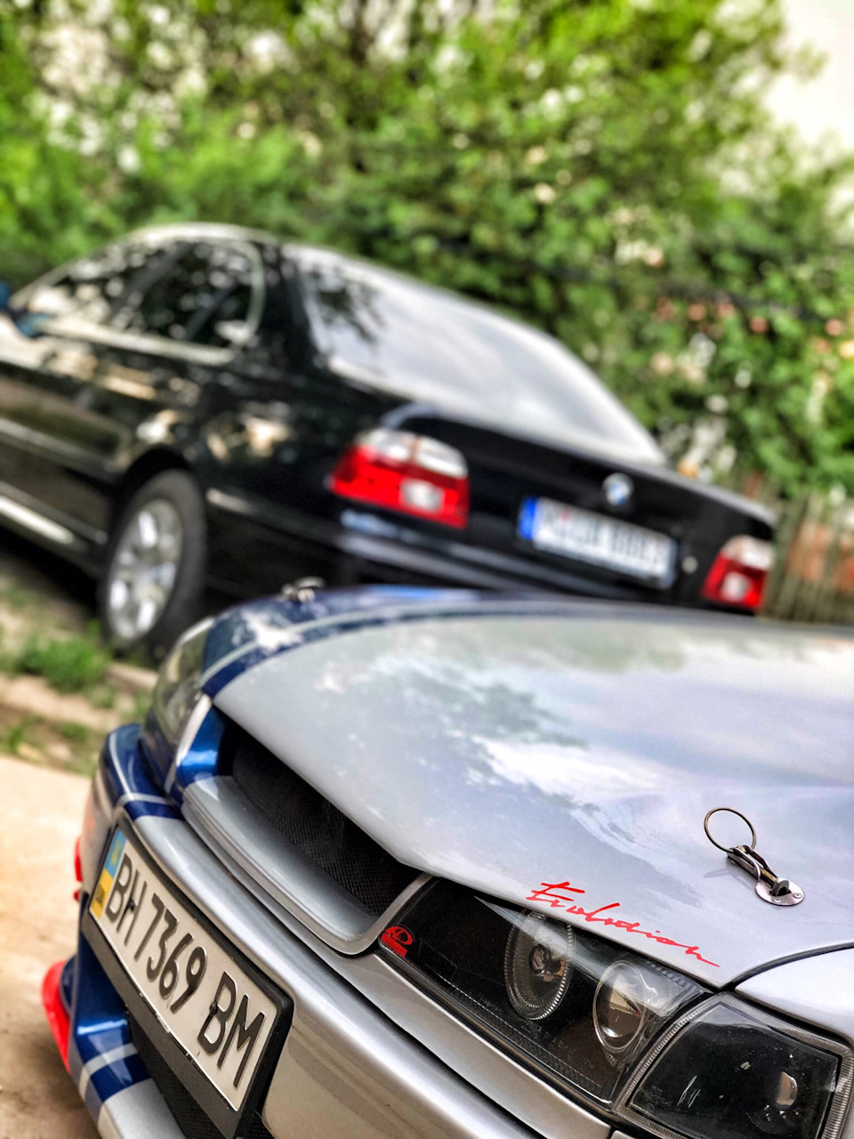 Мої німці 🇩🇪 😎 5