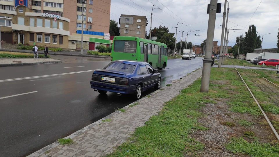 Поки красуня