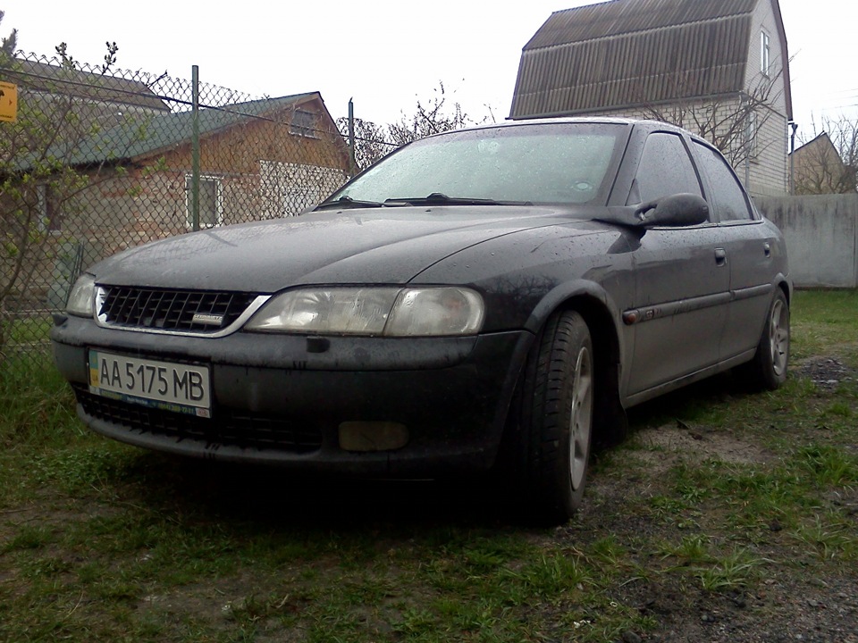 Літні гумки 2