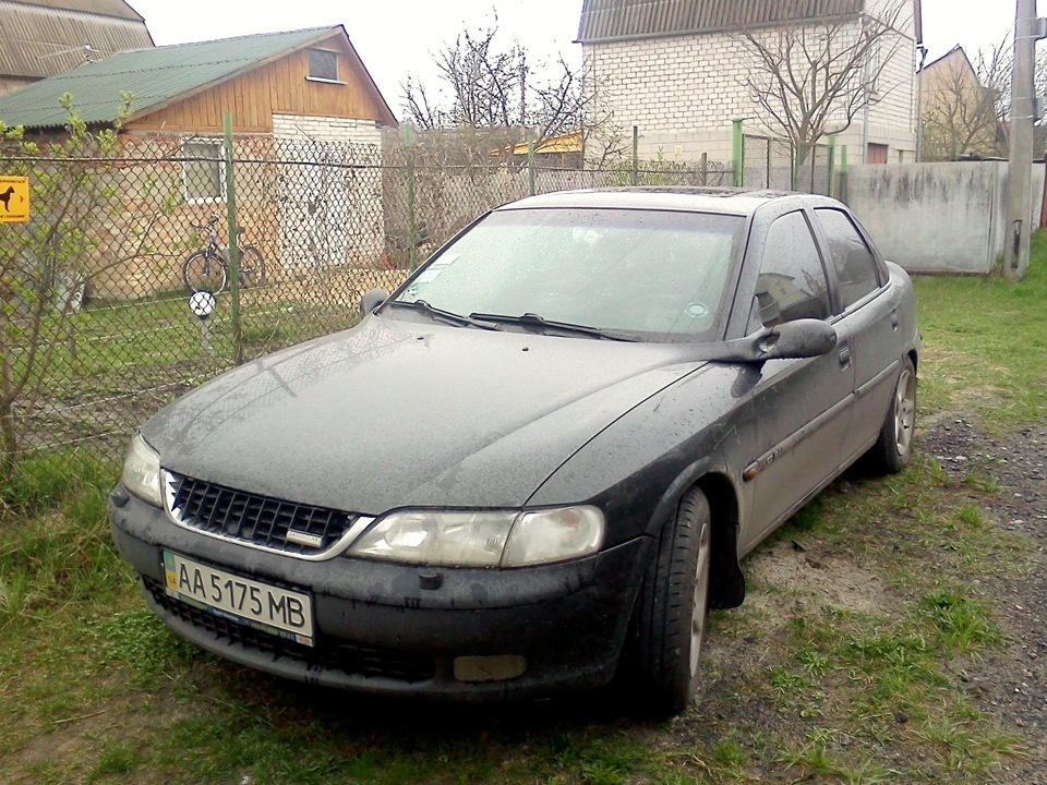 Літні гумки 3