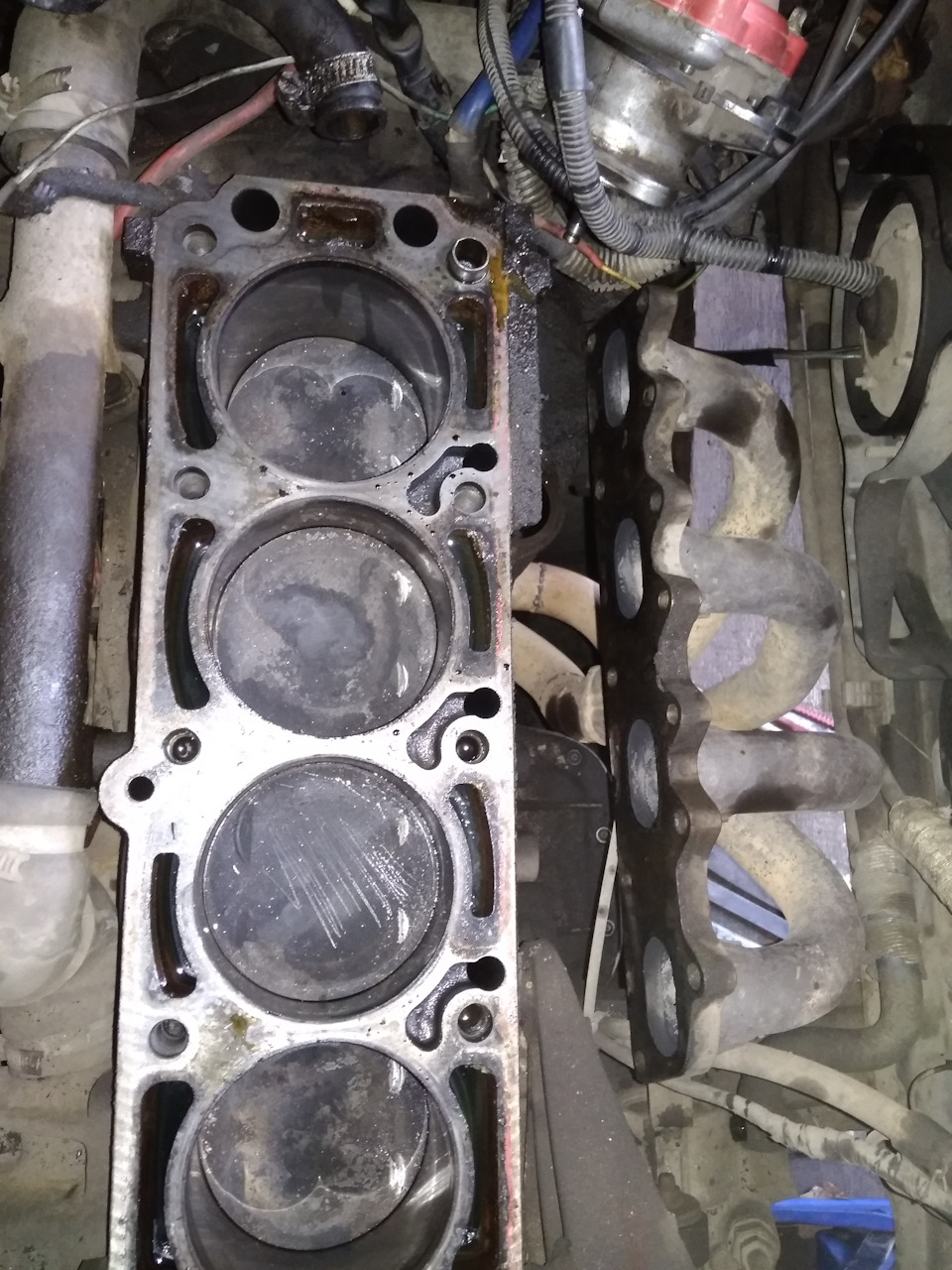 Біда-печаль 4