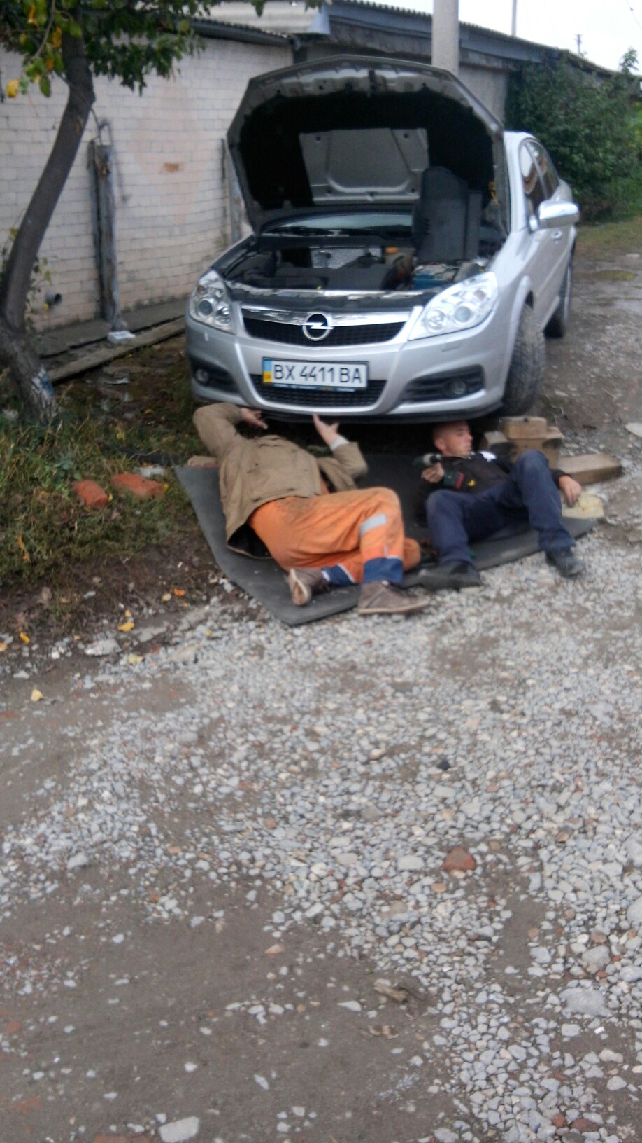 Губа на місці) )) 3