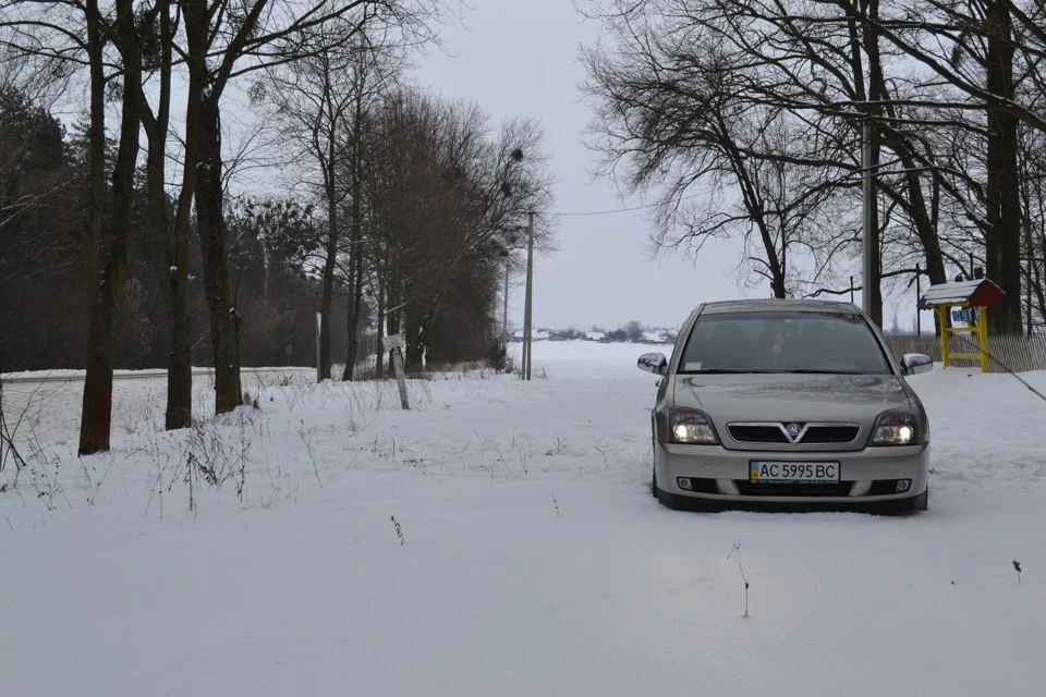 31 Winter 2014