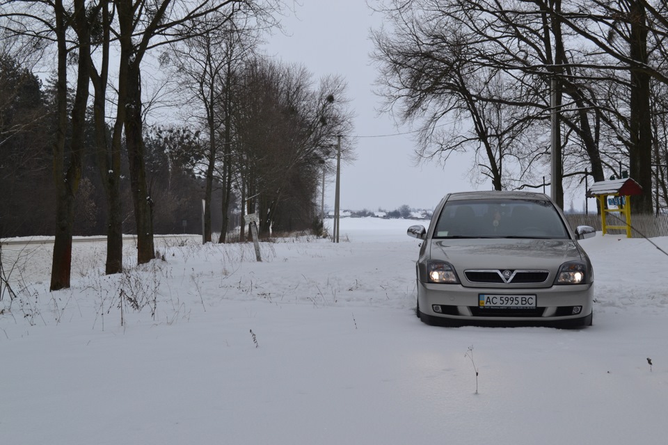 31 Winter 2014 1