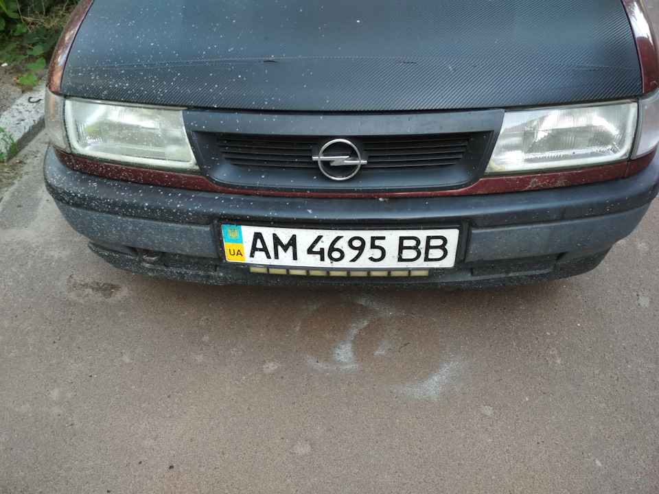 Поповнення в сім'ї 3