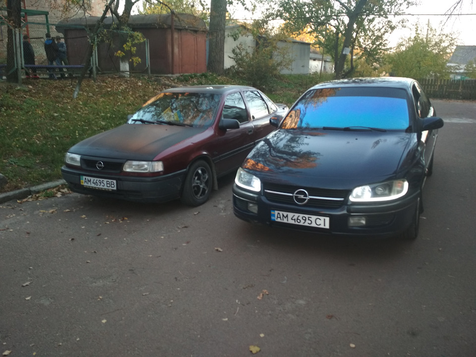 Поповнення в сім'ї 4