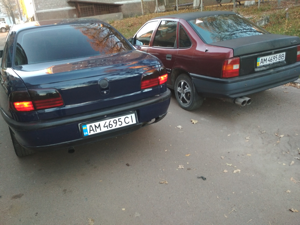 Поповнення в сім'ї 5