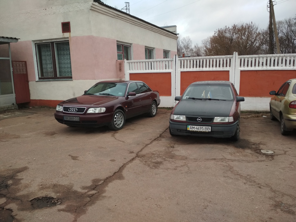 Пішла до нового господаря 2