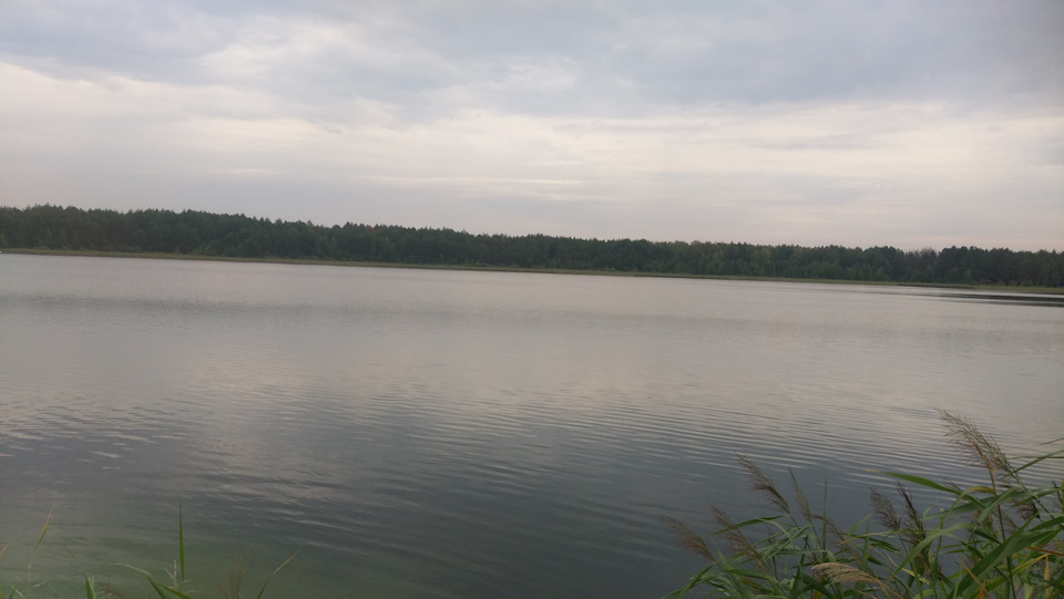 Полісся. Нобель.Озеро Засвітське . 3