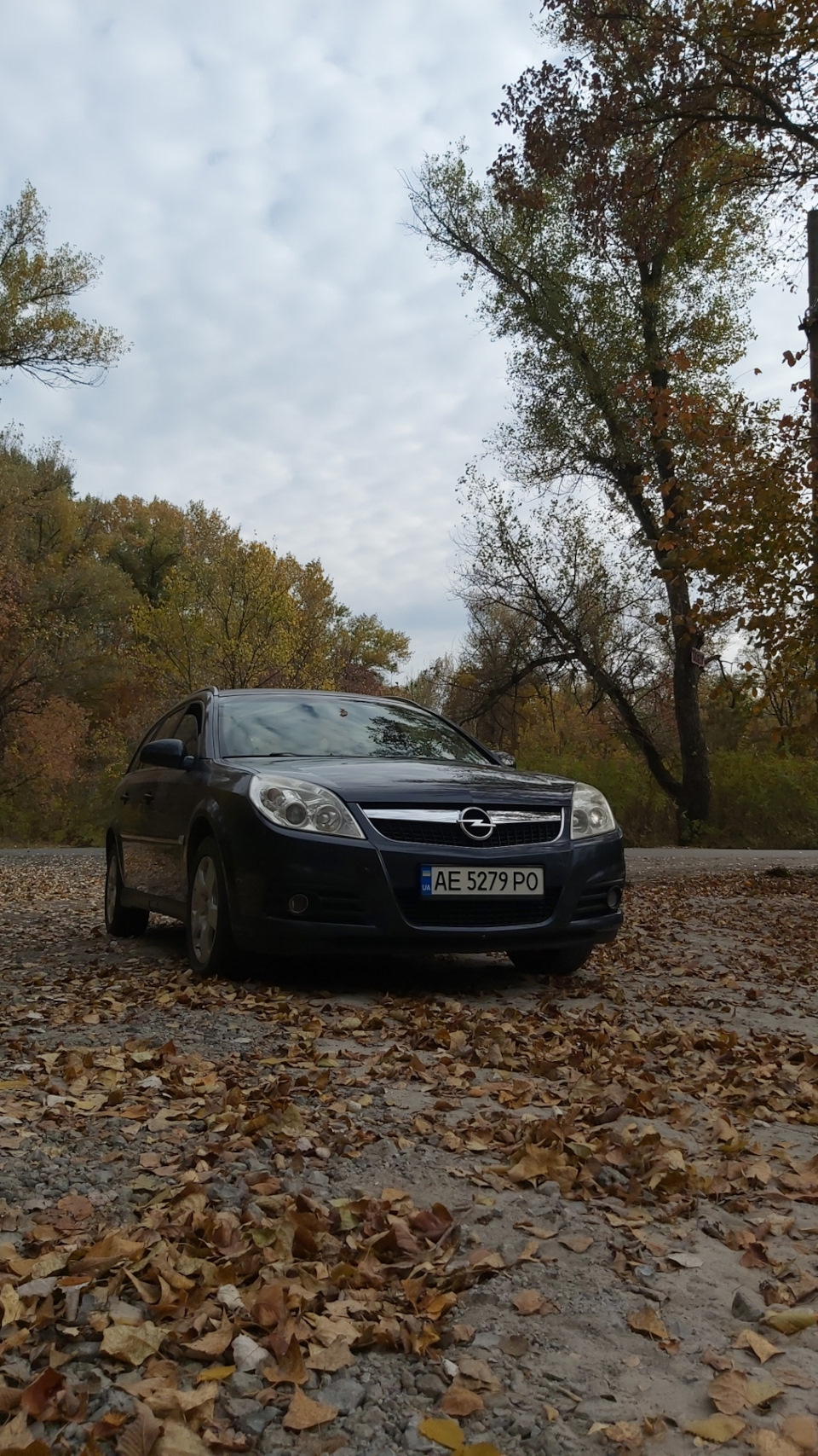 Фото на природі, вибралися погуляти 2