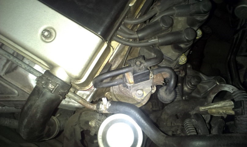 Профілактика EGR 1