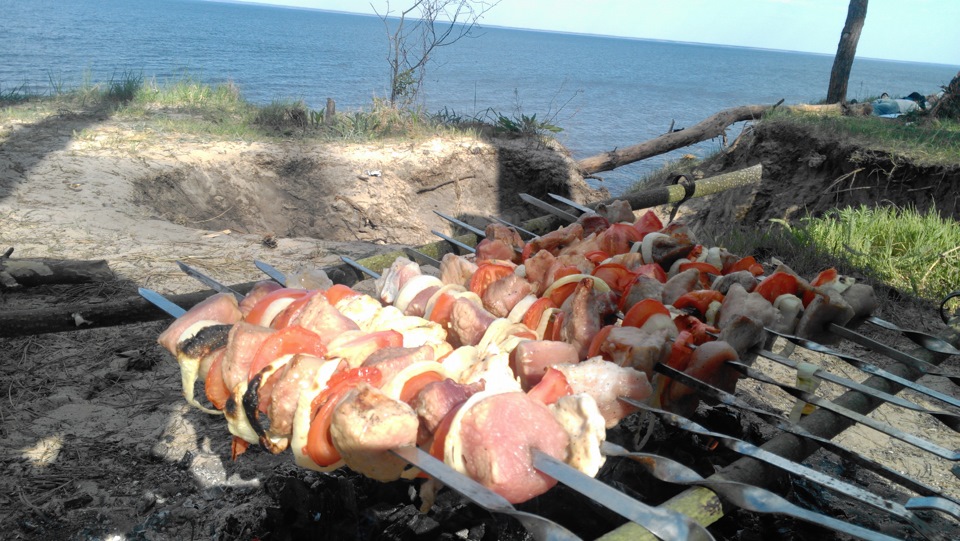 черговий виїзд на природу 5